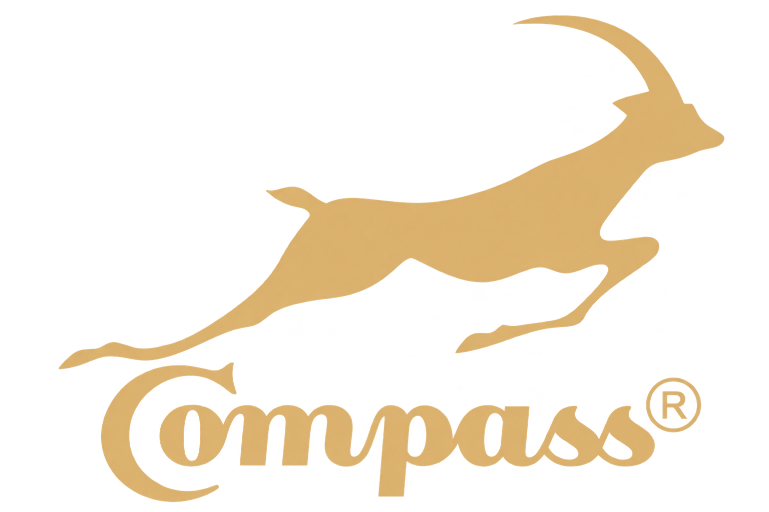 Compass client logo